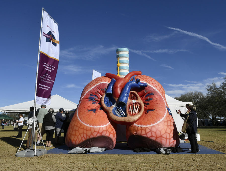 Cancer survival rates hit historic highs
